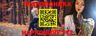 мдпв Обь