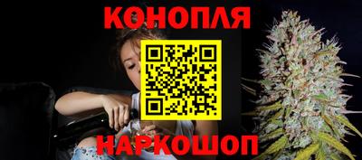 мдпв Обь