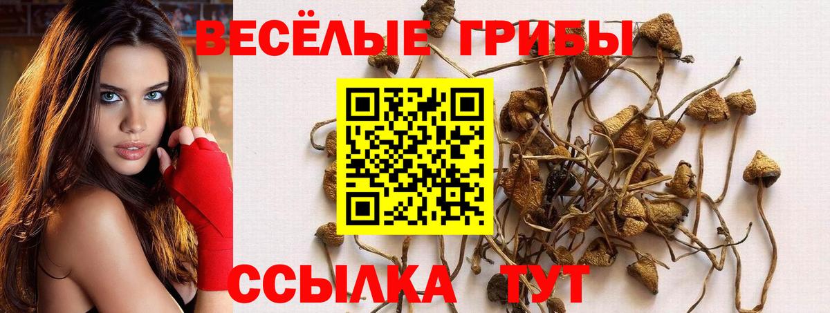 Галлюциногенные грибы Cubensis Ухта