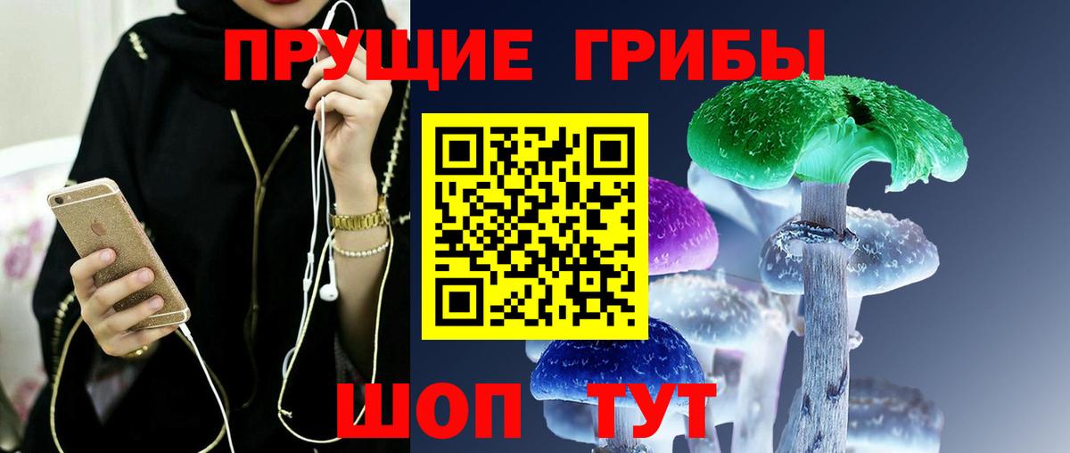 Ухта  Псилоцибиновые грибы Cubensis  Вход с VPN 
